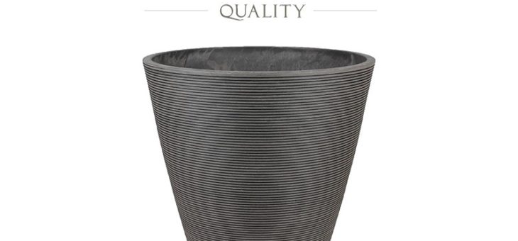 Świąteczne drzewko w salonie – wybór donicy na choinkę, która podkreśli klimat